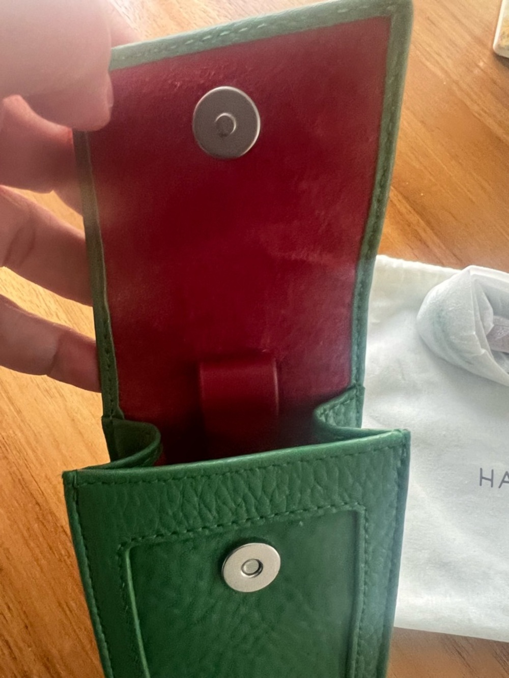 Hammitt Sunny Sleeve Lime Zest Green Brushed Silver Pouch with Red Accent - Picture 4 of 9